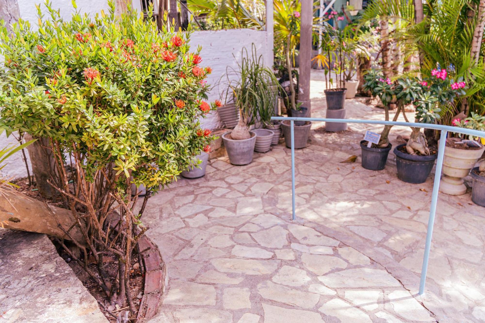 Pousada Chacara Porto Do Sol 자쿠마 외부 사진